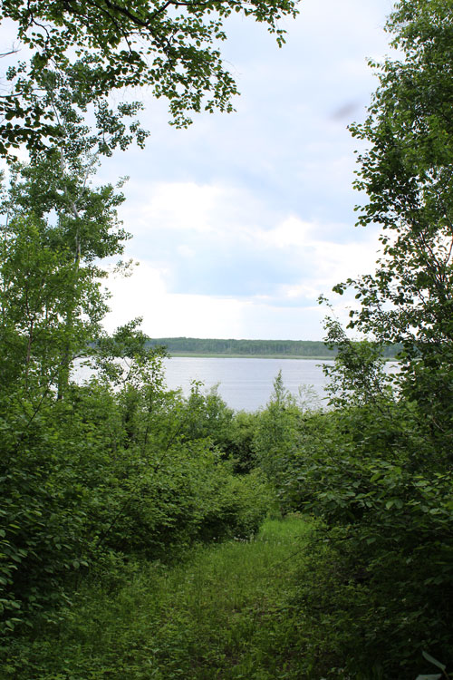 Lake from Shore