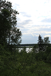 View of Lake