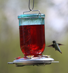 Humming Bird Feeder